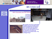 Tablet Screenshot of alfiecockatoo.tripod.com