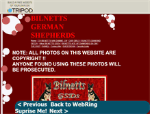 Tablet Screenshot of bilnettsgsd.tripod.com