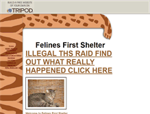 Tablet Screenshot of felinesfirst.tripod.com