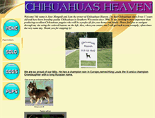 Tablet Screenshot of chihuahuasheaven.tripod.com