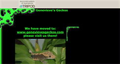 Desktop Screenshot of gensgeckos.tripod.com