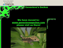 Tablet Screenshot of gensgeckos.tripod.com