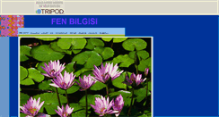 Desktop Screenshot of fenbilgisi.tripod.com