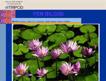 Tablet Screenshot of fenbilgisi.tripod.com