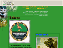 Tablet Screenshot of orlandoneto1.tripod.com