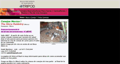 Desktop Screenshot of conejosmexico.tripod.com