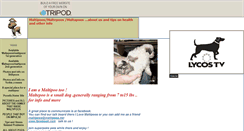 Desktop Screenshot of maltepoos-ivil.tripod.com