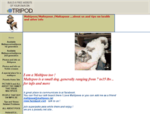 Tablet Screenshot of maltepoos-ivil.tripod.com