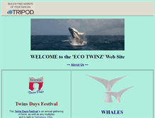 Tablet Screenshot of majictwins.tripod.com