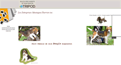 Desktop Screenshot of lemti2002.tripod.com