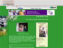Tablet Screenshot of bentmalletfarms.tripod.com