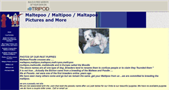 Desktop Screenshot of iluvmaltipoo-ivil.tripod.com