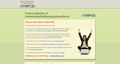 Desktop Screenshot of commentsefaitilquonpuisseallerau.tripod.com