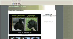 Desktop Screenshot of playtimeboxers.tripod.com