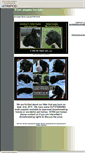 Mobile Screenshot of playtimeboxers.tripod.com