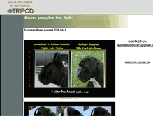 Tablet Screenshot of playtimeboxers.tripod.com