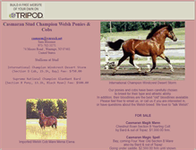 Tablet Screenshot of casmaranstudwelshcob.tripod.com