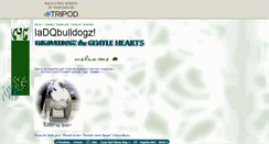 Desktop Screenshot of iadqbull.tripod.com