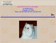 Tablet Screenshot of kottonkats.tripod.com
