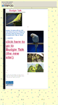 Mobile Screenshot of parakeets0.tripod.com