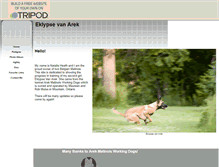 Tablet Screenshot of eklypsevanarek.tripod.com