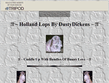 Tablet Screenshot of dustydickens.tripod.com