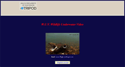 Desktop Screenshot of manu19b.tripod.com