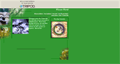 Desktop Screenshot of dragonmaster181.tripod.com