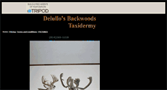 Desktop Screenshot of delullos.tripod.com