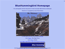 Tablet Screenshot of bluehummingbird.tripod.com
