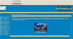 Desktop Screenshot of hanywebhelp.tripod.com