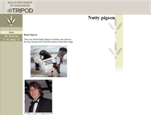 Tablet Screenshot of nuttypigeon.tripod.com