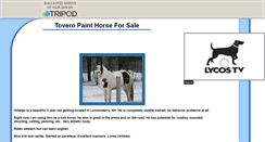 Desktop Screenshot of painthorseforsale.tripod.com
