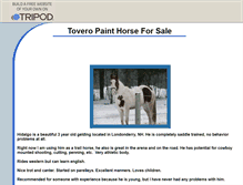Tablet Screenshot of painthorseforsale.tripod.com