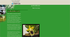 Desktop Screenshot of j.patison.tripod.com