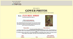 Desktop Screenshot of gowerphotos.tripod.com