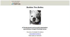 Desktop Screenshot of buddiesthrubullies.tripod.com