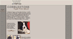 Desktop Screenshot of cobblestoneecs.tripod.com