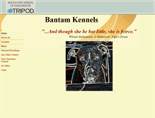 Tablet Screenshot of bantamapbt.tripod.com