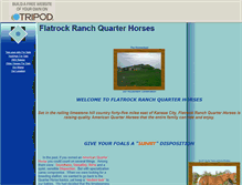 Tablet Screenshot of flatrockqh.tripod.com