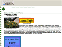 Tablet Screenshot of freecactus.tripod.com