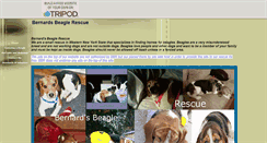 Desktop Screenshot of bernardsbeaglerescue.tripod.com