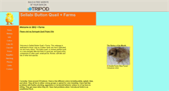 Desktop Screenshot of button-quail.tripod.com