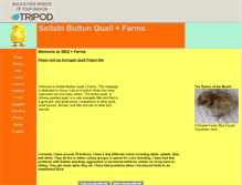 Tablet Screenshot of button-quail.tripod.com