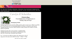 Desktop Screenshot of crscheidies-ivil.tripod.com