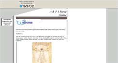 Desktop Screenshot of ap1studyguide.tripod.com