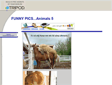 Tablet Screenshot of funnypicsanimals5.tripod.com