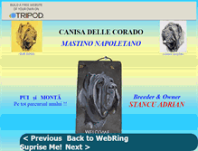 Tablet Screenshot of dellecorado.tripod.com