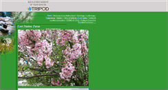 Desktop Screenshot of mystiquemeadow.tripod.com