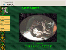 Tablet Screenshot of caliancattery.tripod.com